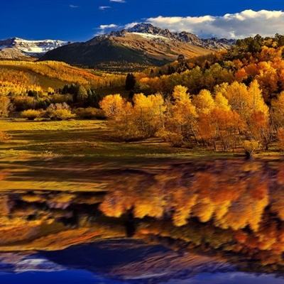 乐鱼·(LEYU)体育官方网站