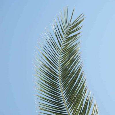 中欧·体育(KOK)中国官方网站